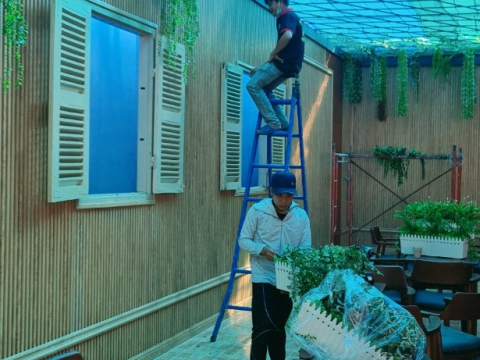 Thi công quán cafe