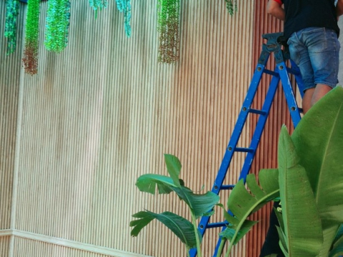 Thi công quán cafe