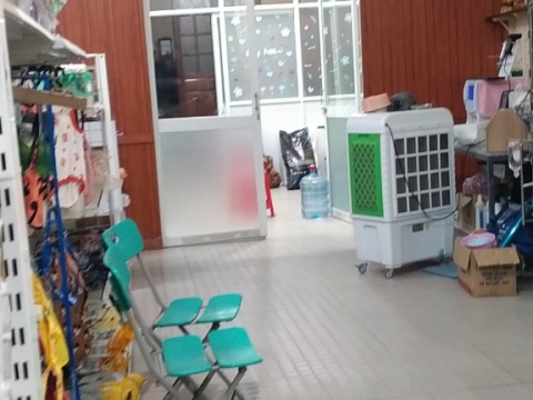 Thi công phòng khám thú y