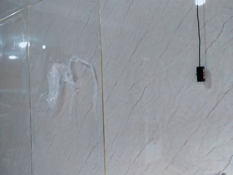 Thi công phòng khám thú y