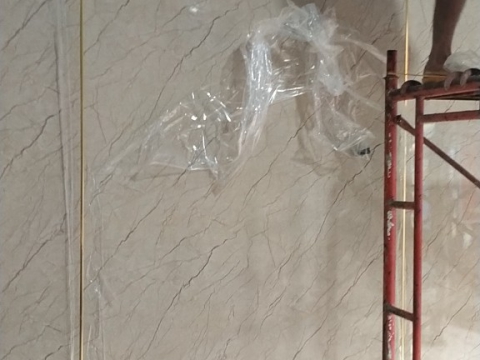 Thi công phòng khám thú y